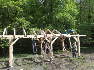 ___big_img_20170506_131031_1_.jpg
